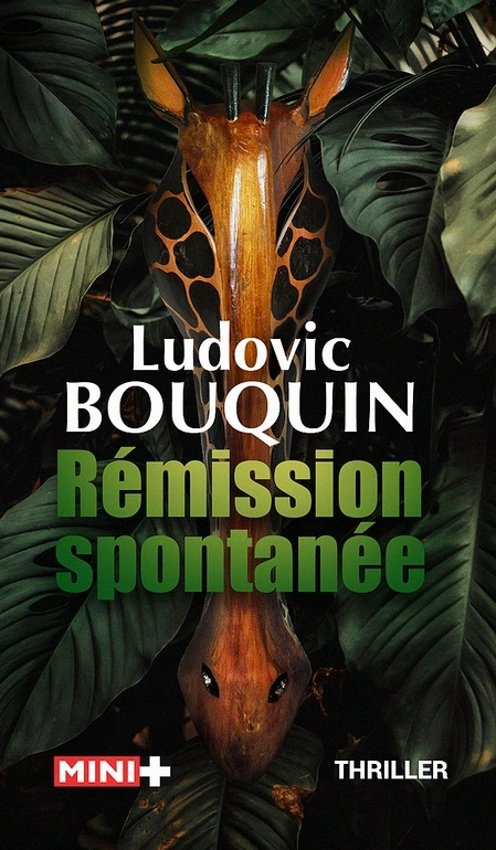 Ludovic BOUQUIN - Rémission spontanée