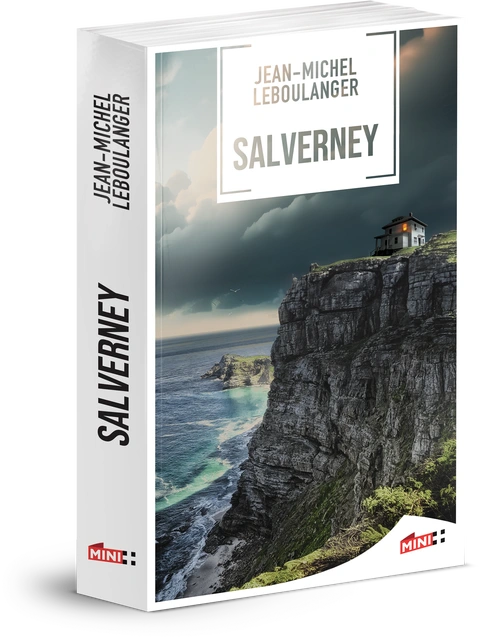 M+ Editions | Jean-Michel LEBOULANGER- Salverney